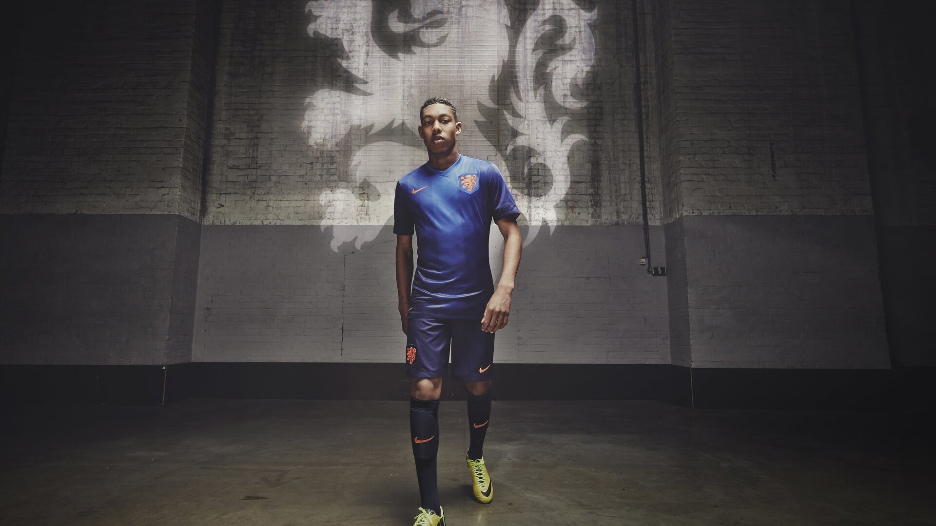 下载开云-摩洛哥马术协会与亚洲马术协会建立合作关系，推动区域发展。，摩洛哥种马